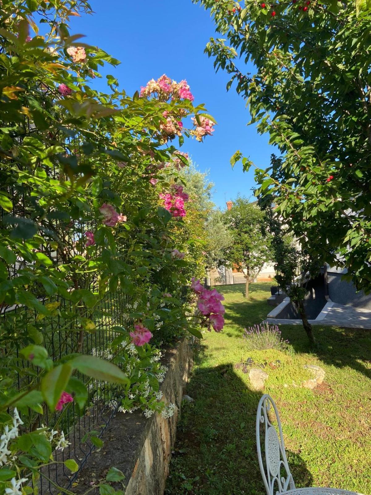 Holiday Home Mihaela Višnjan Exterior foto